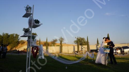 Boda